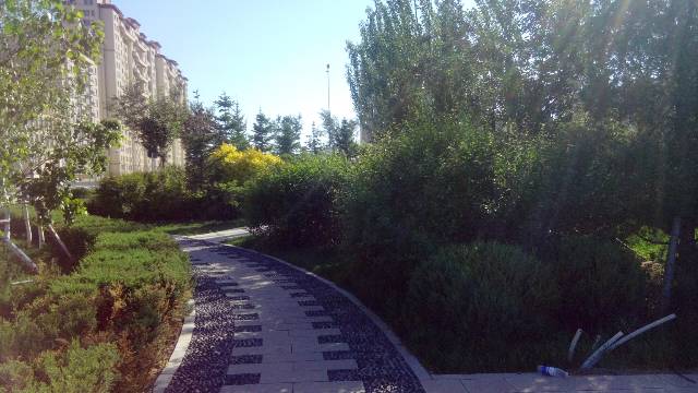 景觀知識大全（二）